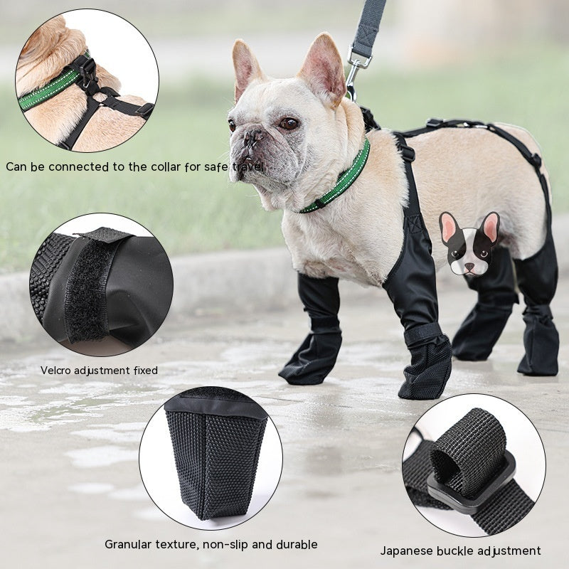 Pet Shoes
