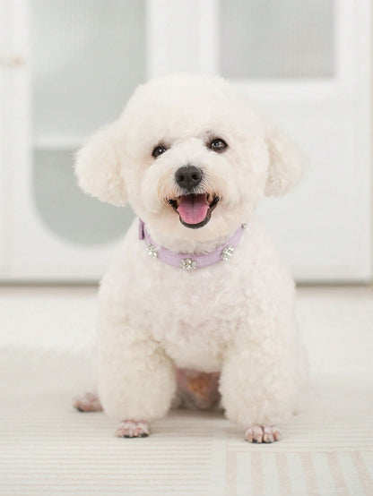 Sparkling Rhinestone Flower Dog Collar, Gradient Colorful Style, Luxurious And Flashy, Adjustable
