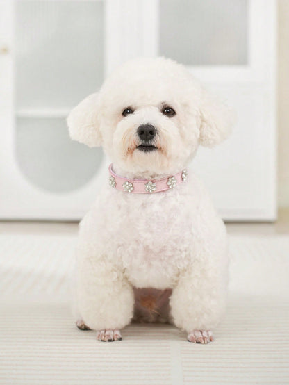 Sparkling Rhinestone Flower Dog Collar, Gradient Colorful Style, Luxurious And Flashy, Adjustable