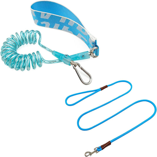 WYuZe 5FT Puppy Leash + Chew Proof Dog Leash with Shock Absorption for Small Dogs, Blue