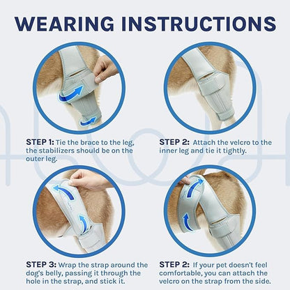 Dog Knee Brace for Torn ACL, Rear Leg Support for Joint Pain Relief and Ligament Injuries, Silver, XL
