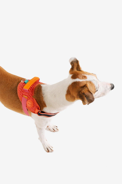 Zee.Dog Gazelle Dog Fly Harness