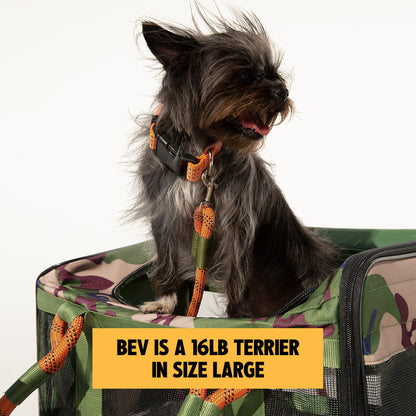 OUT-OF-OFFICE PET CARRIER PRO EDITION
