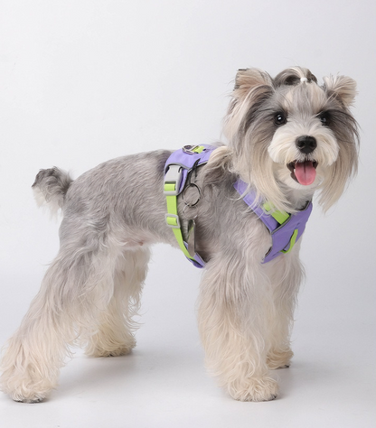 Cloud-Lite™ Dog Harness