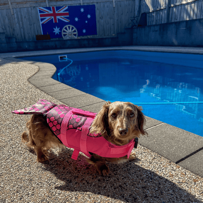 Mermaid Dog Life Jacket