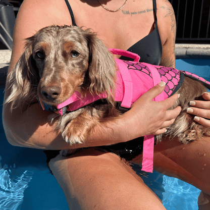Mermaid Dog Life Jacket