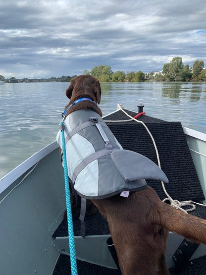 Shark Dog Life Jacket